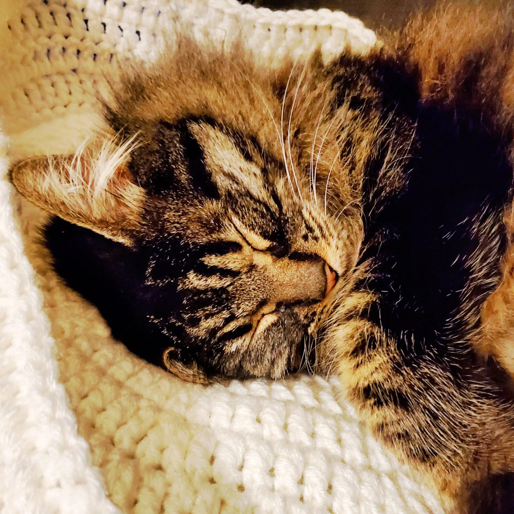 cat bed pattern crochet